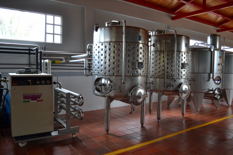 cave-VERIGNON-min_wine_production_cantine_winery_drink_alcohol_vine_beverage-902036